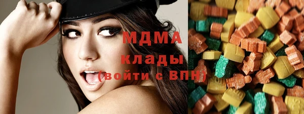 сатива Ельня