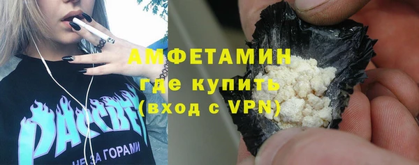 сатива Ельня