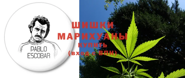 сатива Ельня