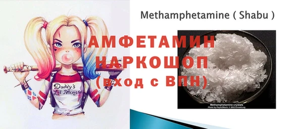 сатива Ельня