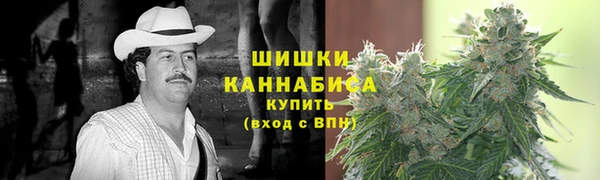 сатива Ельня
