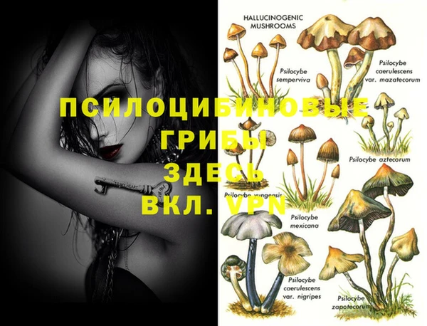 СК Осинники