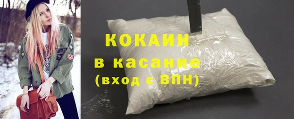 сатива Ельня