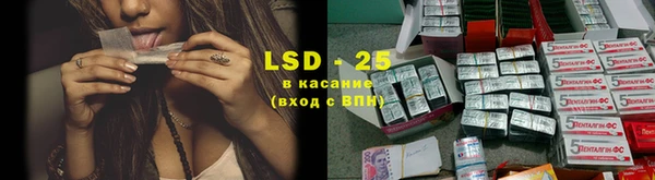 сатива Ельня