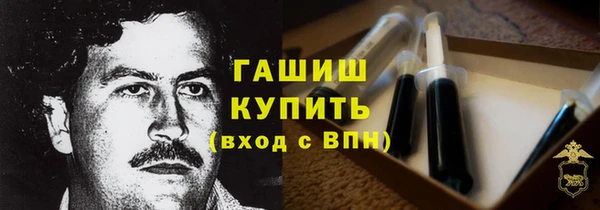 сатива Ельня