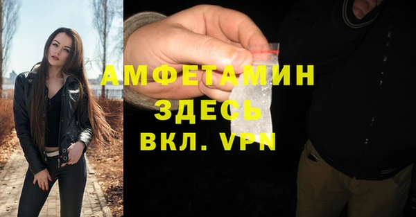 сатива Ельня
