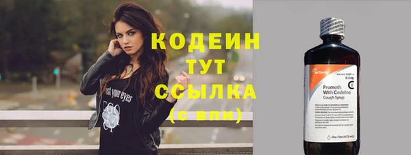 соль ск Елизово