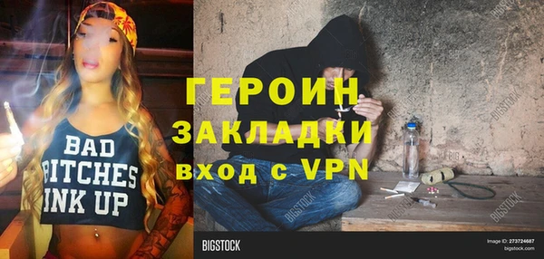 сатива Ельня