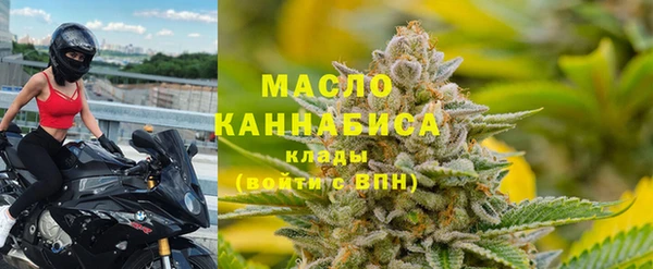 сатива Ельня