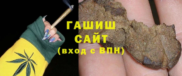 сатива Ельня
