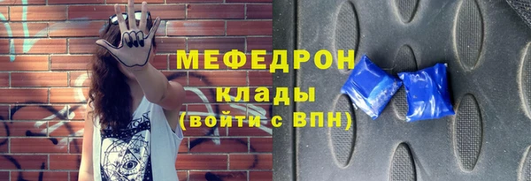 сатива Ельня