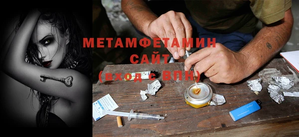 сатива Ельня
