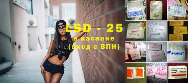 сатива Ельня