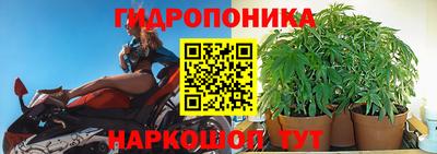 jwh Краснознаменск