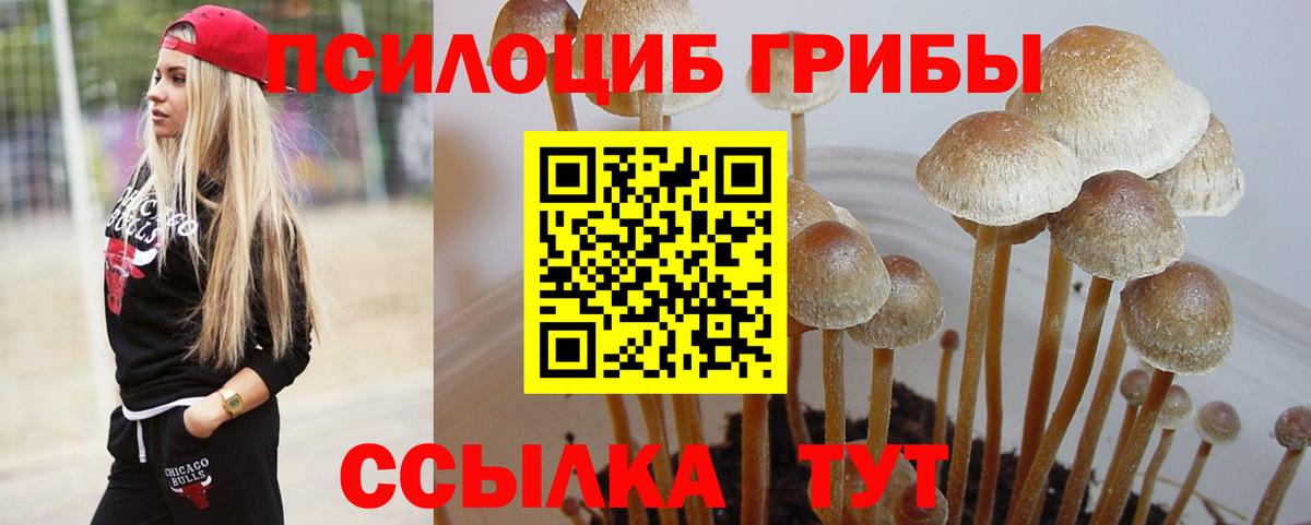 Псилоцибиновые грибы Psilocybine cubensis  Вход с VPN  Пыть-Ях 
